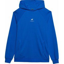 4F - Bluza męska ze sklepu: SPORT-SHOP.pl w kategorii: Bluzy męskie - zdjęcie 6BAF450-D40-9631_175397