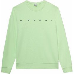 Bluza męska jesienna 4F ze sklepu: SPORT-SHOP.pl w kategorii: Bluzy męskie - zdjęcie 6BAF450-D40-9631_175401