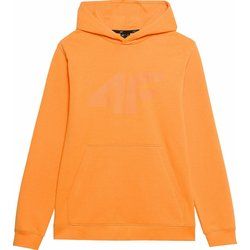 Bluza męska jesienna 4F ze sklepu: SPORT-SHOP.pl w kategorii: Bluzy męskie - zdjęcie 6BAF450-D40-9631_175418