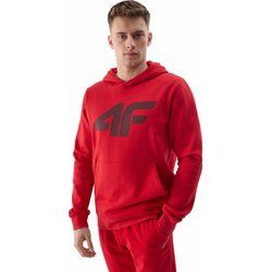 Bluza męska sportowa 4F ze sklepu: SPORT-SHOP.pl w kategorii: Bluzy męskie - zdjęcie 6BAF450-D40-9631_175419