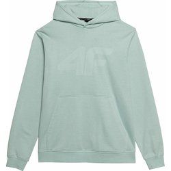 Bluza męska casualowa 4F ze sklepu: SPORT-SHOP.pl w kategorii: Bluzy męskie - zdjęcie 6BAF450-D40-9631_175420