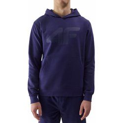 Bluza męska 4F ze sklepu: SPORT-SHOP.pl w kategorii: Bluzy męskie - zdjęcie 6BAF450-D40-9631_175421