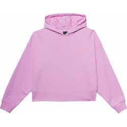 Bluza damska jesienna 4F ze sklepu: SPORT-SHOP.pl w kategorii: Bluzy damskie - zdjęcie 6BAF450-D40-9631_175463
