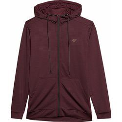 Bluza męska jesienna 4F ze sklepu: SPORT-SHOP.pl w kategorii: Bluzy męskie - zdjęcie 6BAF450-D40-9631_175501