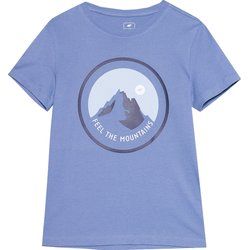 T-shirt chłopięce na lato 4F ze sklepu: SPORT-SHOP.pl w kategorii: T-shirty chłopięce - zdjęcie 6BAF450-D40-9631_175512