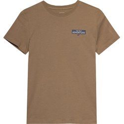 T-shirt chłopięce na lato 4F ze sklepu: SPORT-SHOP.pl w kategorii: T-shirty chłopięce - zdjęcie 6BAF450-D40-9631_175517