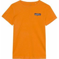 T-shirt chłopięce na lato 4F ze sklepu: SPORT-SHOP.pl w kategorii: T-shirty chłopięce - zdjęcie 6BAF450-D40-9631_175518