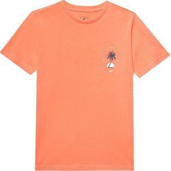 T-shirt chłopięce na lato 4F ze sklepu: SPORT-SHOP.pl w kategorii: T-shirty chłopięce - zdjęcie 6BAF450-D40-9631_175520