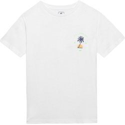 T-shirt chłopięce na lato 4F ze sklepu: SPORT-SHOP.pl w kategorii: T-shirty chłopięce - zdjęcie 6BAF450-D40-9631_175521