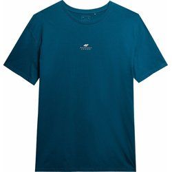 4F - T-shirt męski casual ze sklepu: SPORT-SHOP.pl w kategorii: T-shirty męskie - zdjęcie 6BAF450-D40-9631_175550