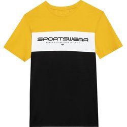 T-shirt męski 4F ze sklepu: SPORT-SHOP.pl w kategorii: T-shirty męskie - zdjęcie 6BAF450-D40-9631_175600