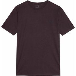 T-shirt męski na wiosnę 4F ze sklepu: SPORT-SHOP.pl w kategorii: T-shirty męskie - zdjęcie 6BAF450-D40-9631_175636