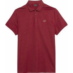 T-shirt męski casual na wiosnę 4F ze sklepu: SPORT-SHOP.pl w kategorii: T-shirty męskie - zdjęcie 6BAF450-D40-9631_175709