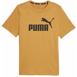 T-shirt męski wiosenny Puma ze sklepu: SPORT-SHOP.pl w kategorii: T-shirty męskie - zdjęcie 6BAF450-D40-9631_175914