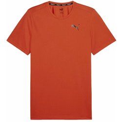 T-shirt męski wiosenny sportowy Puma ze sklepu: SPORT-SHOP.pl w kategorii: T-shirty męskie - zdjęcie 6BAF450-D40-9631_176366