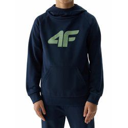 4F - Bluza chłopięca jesienna ze sklepu: SPORT-SHOP.pl w kategorii: Bluzy chłopięce - zdjęcie 6BAF450-D40-9631_179680