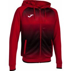 Bluza męska na jesień Joma ze sklepu: SPORT-SHOP.pl w kategorii: Bluzy męskie - zdjęcie 6BAF450-D40-9631_183417
