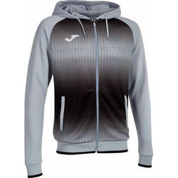 Bluza męska jesienna Joma ze sklepu: SPORT-SHOP.pl w kategorii: Bluzy męskie - zdjęcie 6BAF450-D40-9631_183418