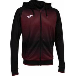 Joma - Bluza męska na jesień ze sklepu: SPORT-SHOP.pl w kategorii: Bluzy męskie - zdjęcie 6BAF450-D40-9631_183420