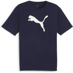T-shirt męski na wiosnę Puma ze sklepu: SPORT-SHOP.pl w kategorii: T-shirty męskie - zdjęcie 6BAF450-D40-9631_184044