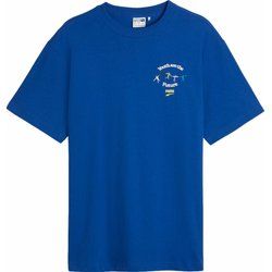 T-shirt męski sportowy Puma ze sklepu: SPORT-SHOP.pl w kategorii: T-shirty męskie - zdjęcie 6BAF450-D40-9631_184206