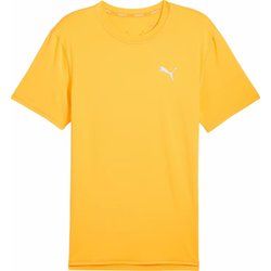 T-shirt męski sportowy Puma ze sklepu: SPORT-SHOP.pl w kategorii: T-shirty męskie - zdjęcie 6BAF450-D40-9631_185565