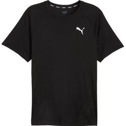 T-shirt męski wiosenny Puma ze sklepu: SPORT-SHOP.pl w kategorii: T-shirty męskie - zdjęcie 6BAF450-D40-9631_185834