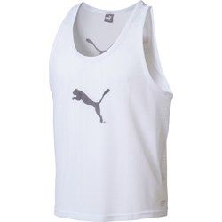T-shirt męski Puma ze sklepu: SPORT-SHOP.pl w kategorii: T-shirty męskie - zdjęcie 6BAF450-D40-9631_187383