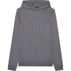 Bluza męska jesienna młodzieżowa 4F ze sklepu: SPORT-SHOP.pl w kategorii: Bluzy męskie - zdjęcie 6BAF450-D40-9631_187592