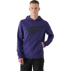 Bluza męska 4F ze sklepu: SPORT-SHOP.pl w kategorii: Bluzy męskie - zdjęcie 6BAF450-D40-9631_187601