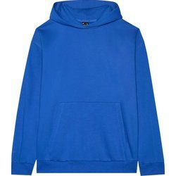 Bluza męska 4F ze sklepu: SPORT-SHOP.pl w kategorii: Bluzy męskie - zdjęcie 6BAF450-D40-9631_188026