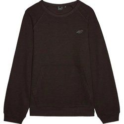 Bluza męska casual 4F ze sklepu: SPORT-SHOP.pl w kategorii: Bluzy męskie - zdjęcie 6BAF450-D40-9631_188031