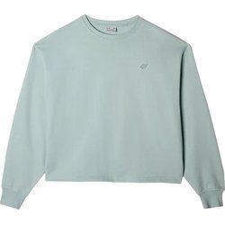 Bluza damska jesienna 4F ze sklepu: SPORT-SHOP.pl w kategorii: Bluzy damskie - zdjęcie 6BAF450-D40-9631_188409