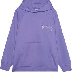 Bluza damska 4F ze sklepu: SPORT-SHOP.pl w kategorii: Bluzy damskie - zdjęcie 6BAF450-D40-9631_188550