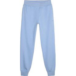 4F - Spodnie damskie wiosenne ze sklepu: SPORT-SHOP.pl w kategorii: Spodnie damskie - zdjęcie 6BAF450-D40-9631_188728