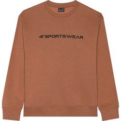 Bluza chłopięca zimowa 4F ze sklepu: SPORT-SHOP.pl w kategorii: Bluzy chłopięce - zdjęcie 6BAF450-D40-9631_188839