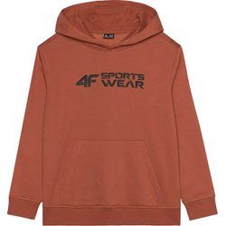Bluza chłopięca na zimę 4F ze sklepu: SPORT-SHOP.pl w kategorii: Bluzy chłopięce - zdjęcie 6BAF450-D40-9631_188844