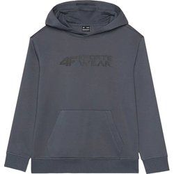 Bluza chłopięca na wiosnę 4F ze sklepu: SPORT-SHOP.pl w kategorii: Bluzy chłopięce - zdjęcie 6BAF450-D40-9631_188845