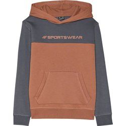 4F - Bluza chłopięca na zimę ze sklepu: SPORT-SHOP.pl w kategorii: Bluzy chłopięce - zdjęcie 6BAF450-D40-9631_188849