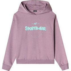 Bluza dziewczęca zimowa 4F ze sklepu: SPORT-SHOP.pl w kategorii: Bluzy dziewczęce - zdjęcie 6BAF450-D40-9631_189353