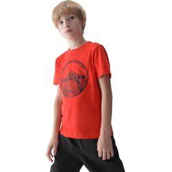 T-shirt chłopięce na lato 4F ze sklepu: SPORT-SHOP.pl w kategorii: T-shirty chłopięce - zdjęcie 6BAF450-D40-9631_190187