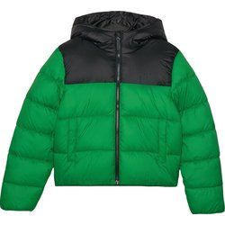 Kurtka chłopięca na zimę 4F ze sklepu: SPORT-SHOP.pl w kategorii: Kurtki chłopięce - zdjęcie 6BAF450-D40-9631_190521