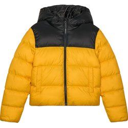 Kurtka chłopięca na zimę 4F ze sklepu: SPORT-SHOP.pl w kategorii: Kurtki chłopięce - zdjęcie 6BAF450-D40-9631_190524