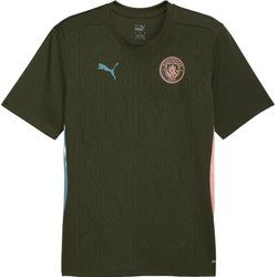 T-shirt męski wiosenny Puma ze sklepu: SPORT-SHOP.pl w kategorii: T-shirty męskie - zdjęcie 6BAF450-D40-9631_191224