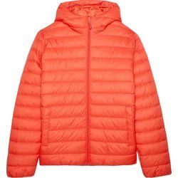 Kurtka męska casual 4F ze sklepu: SPORT-SHOP.pl w kategorii: Kurtki męskie - zdjęcie 6BAF450-D40-9631_191879
