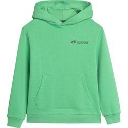 Bluza chłopięca zimowa 4F ze sklepu: SPORT-SHOP.pl w kategorii: Bluzy chłopięce - zdjęcie 6BAF450-D40-9631_191975