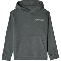 Bluza chłopięca zimowa 4F ze sklepu: SPORT-SHOP.pl w kategorii: Bluzy chłopięce - zdjęcie 6BAF450-D40-9631_191976