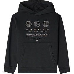 Bluza chłopięca jesienna 4F ze sklepu: SPORT-SHOP.pl w kategorii: Bluzy chłopięce - zdjęcie 6BAF450-D40-9631_191980