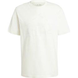 T-shirt męski wiosenny adidas ze sklepu: SPORT-SHOP.pl w kategorii: T-shirty męskie - zdjęcie 6BAF450-D40-9631_193257