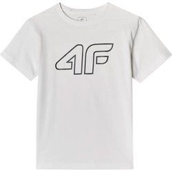 T-shirt chłopięce na lato 4F ze sklepu: SPORT-SHOP.pl w kategorii: T-shirty chłopięce - zdjęcie 6BAF450-D40-9631_194507